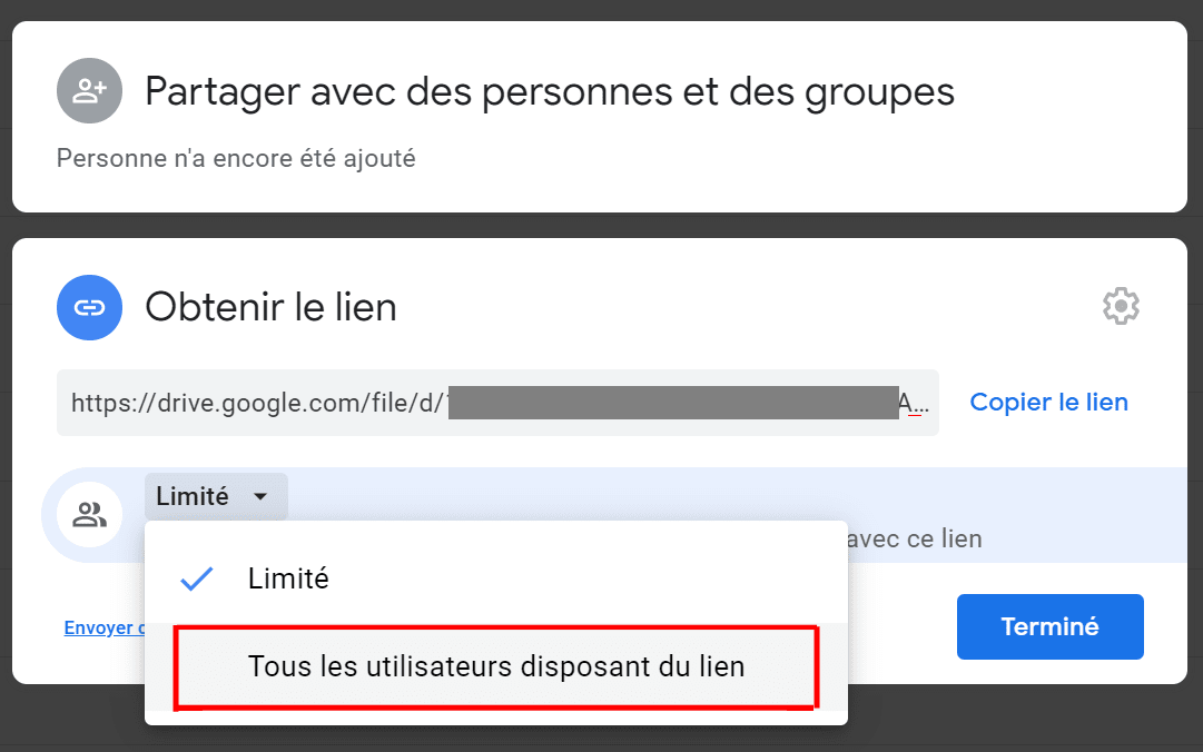 Google Drive lien public